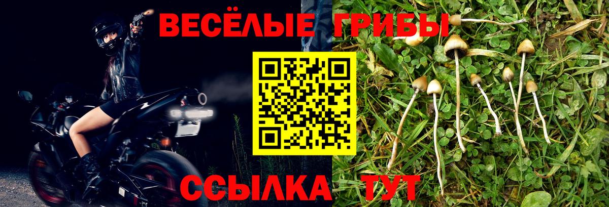 Галлюциногенные грибы мицелий  Псилоцибиновые грибы Psilocybe  Вход с VPN  Нягань 